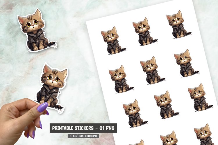Cute cat sticker, funny cat sticker png