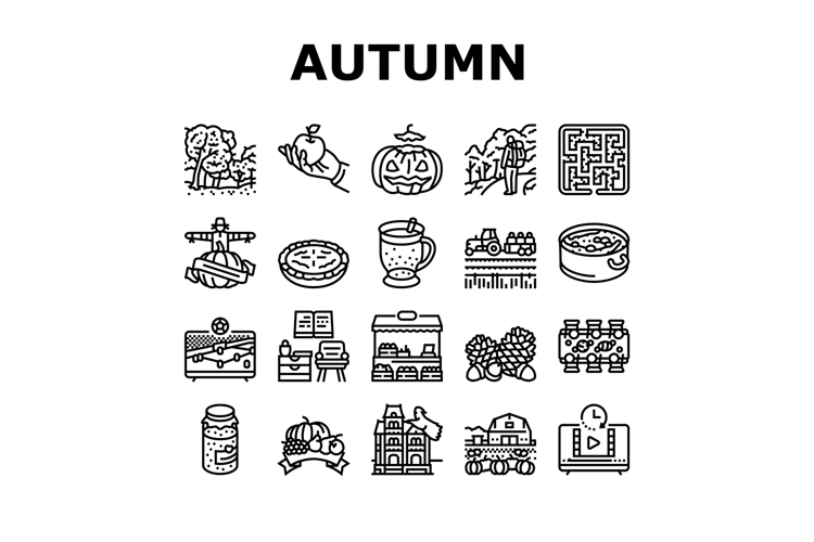 Pumpkin Icon Image 18