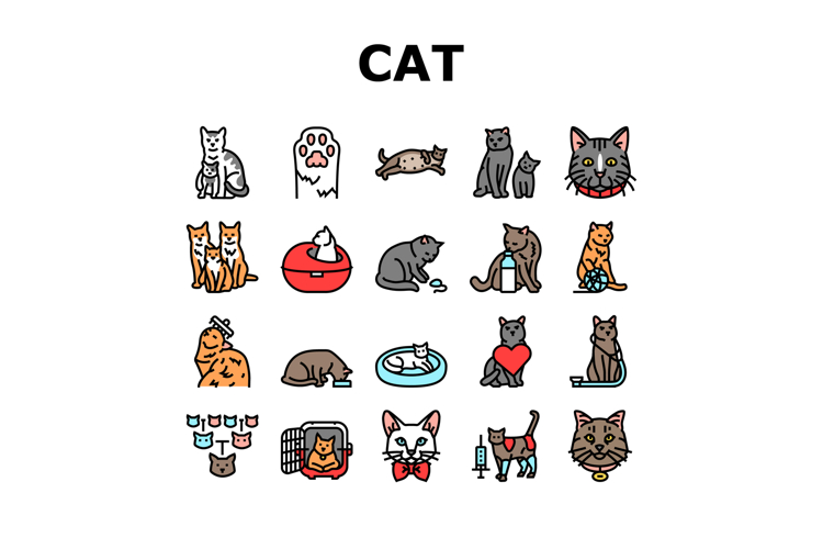 Cat Icon Image 22