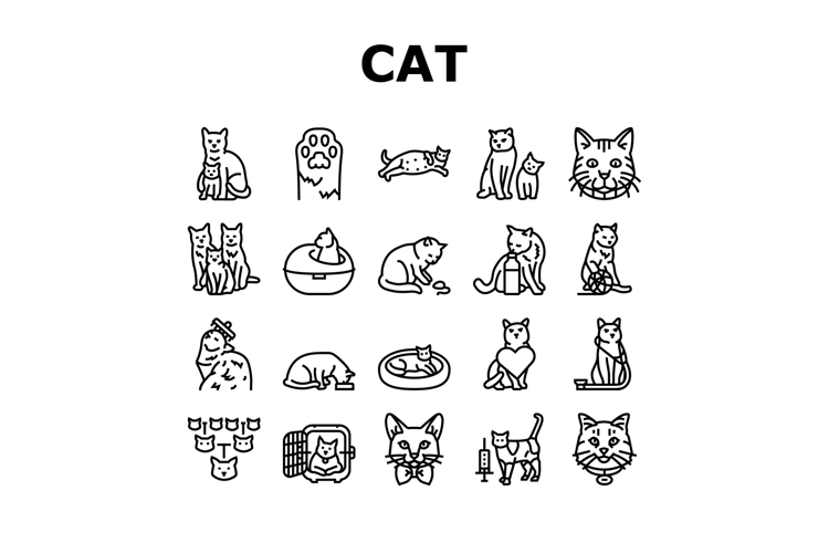 Cat Icon Image 21