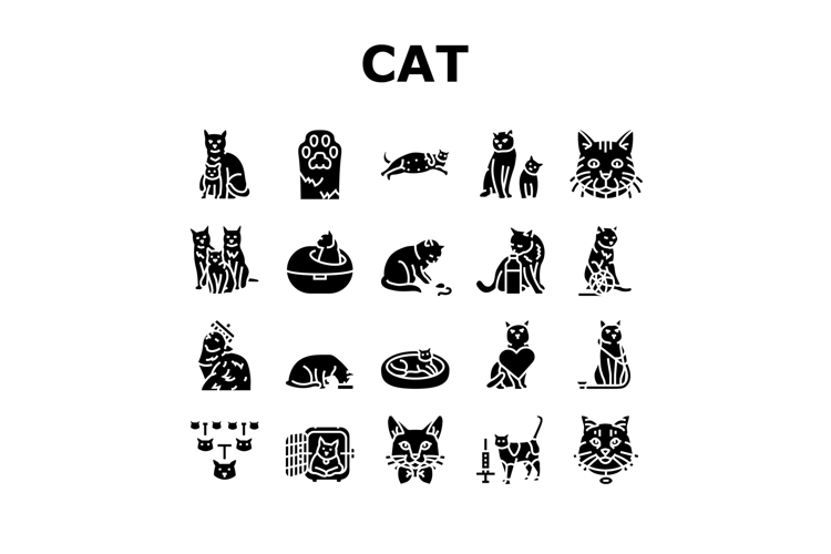 Cat Icon Image 20