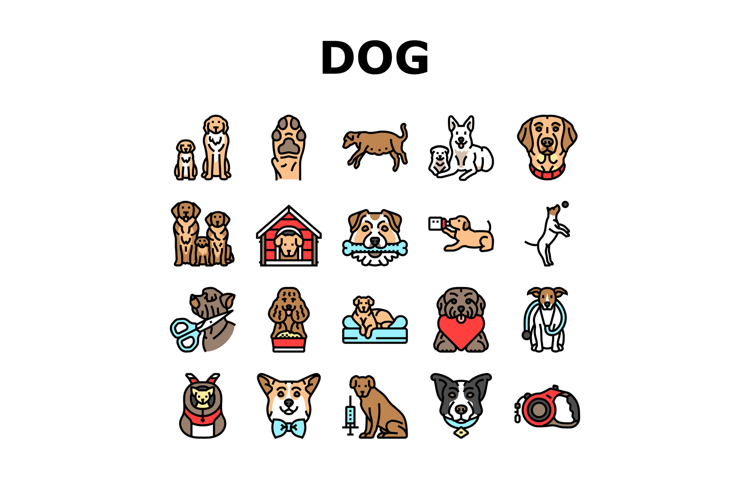 Dog Icon Image 21
