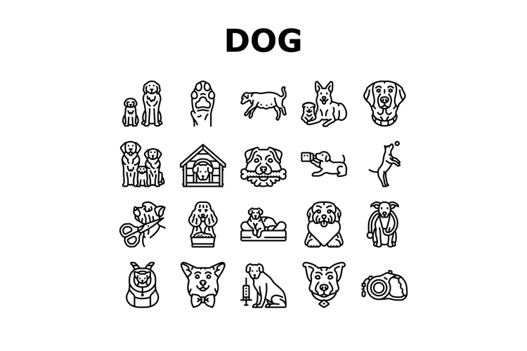 dog breeding genetics pedigree icons set vector