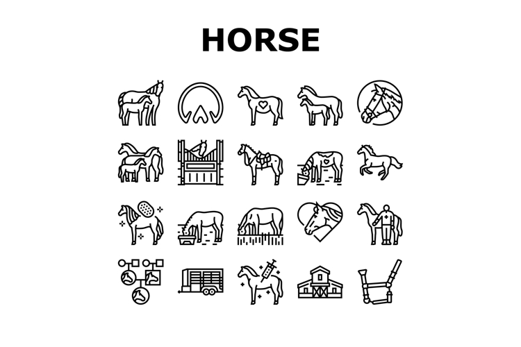 Horse Icon Image 4