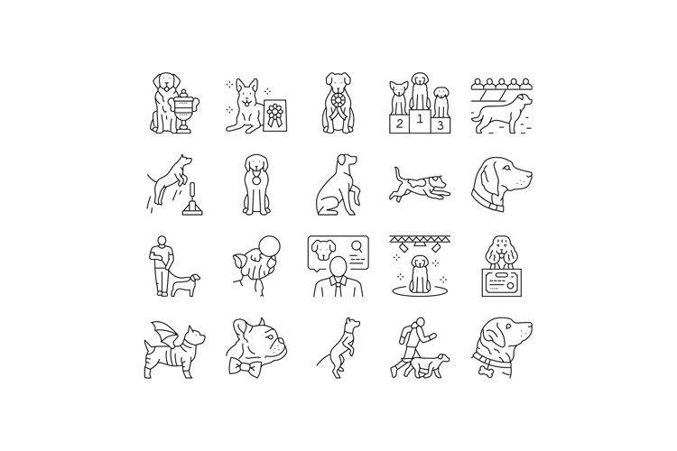 Competition Icon Image 24