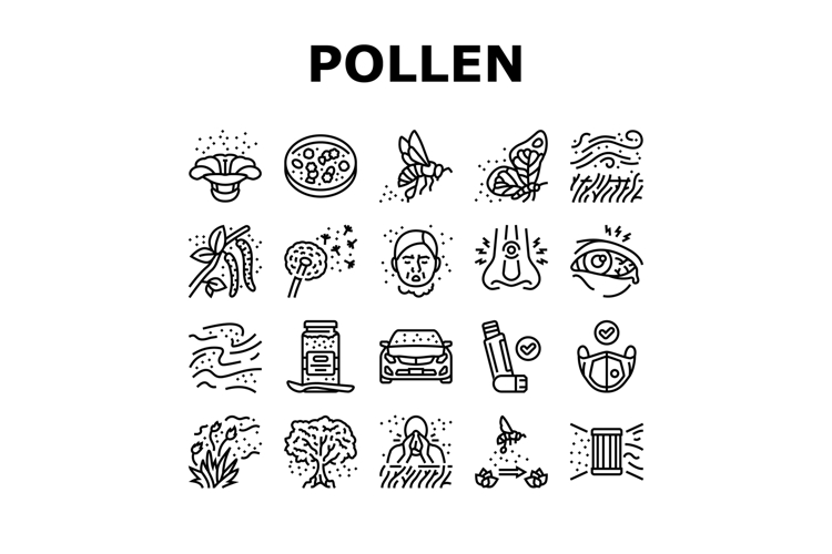 pollen allergy bees flowers icons set vector