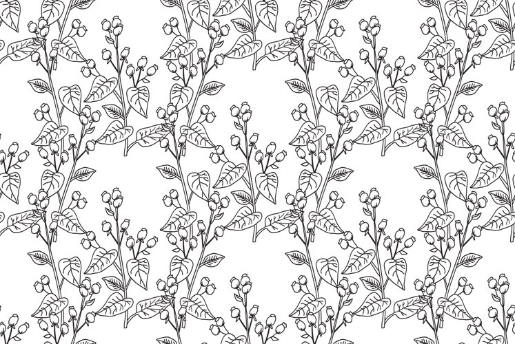 White Wallpaper Image 24