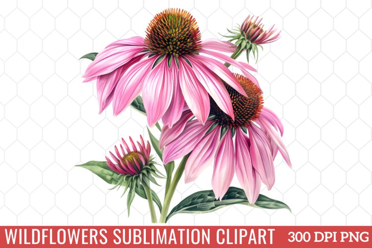Spring Clipart Image 10