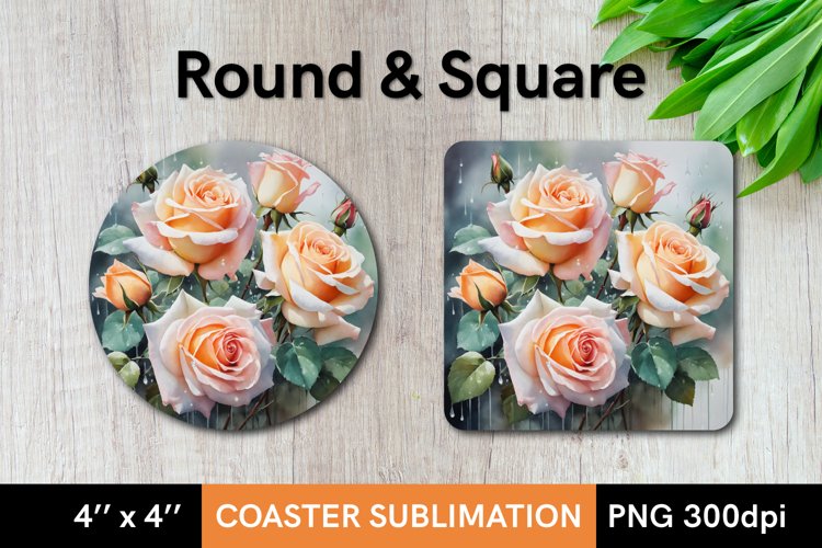 Roses Flowers under the Rain. Round and Square Coaster PNG
