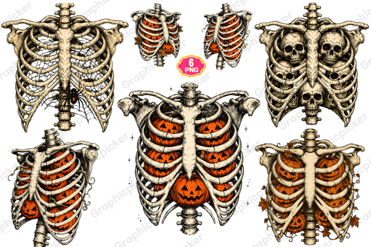 Skeleton Bones Clipart Image 13