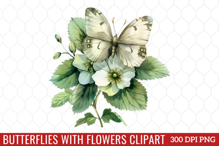 Butterfly Clipart Image 10