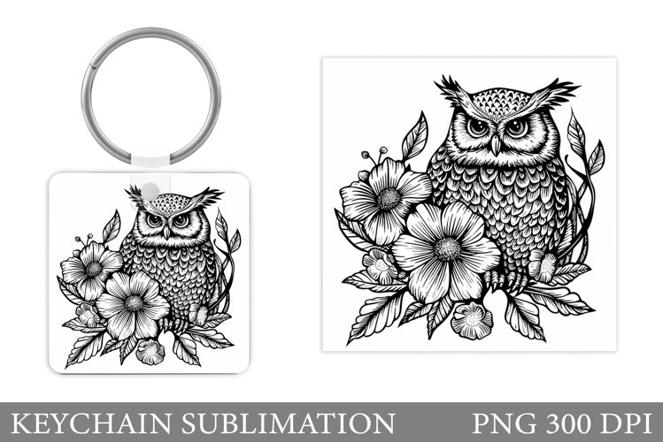 Owl Clipart Image 7