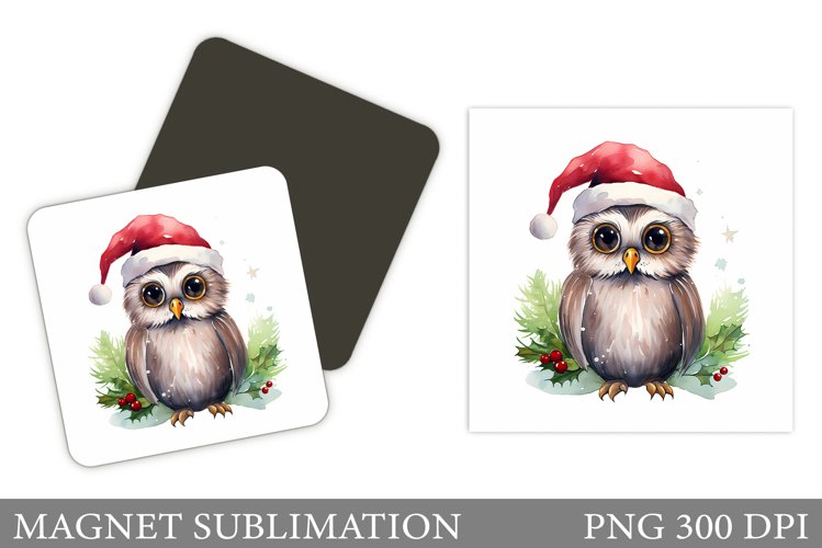 Owl Clipart Image 13