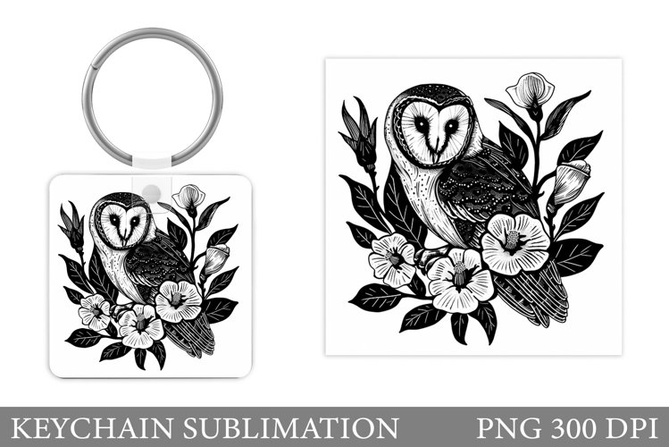 Owl Clipart Image 9