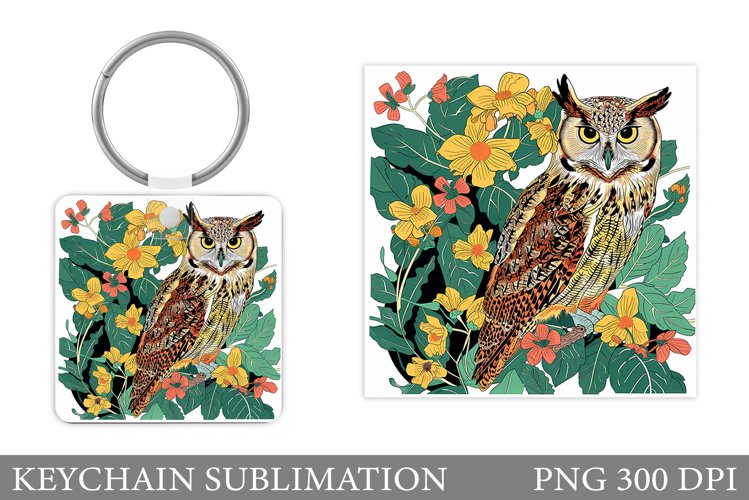 Owl Clipart Image 8