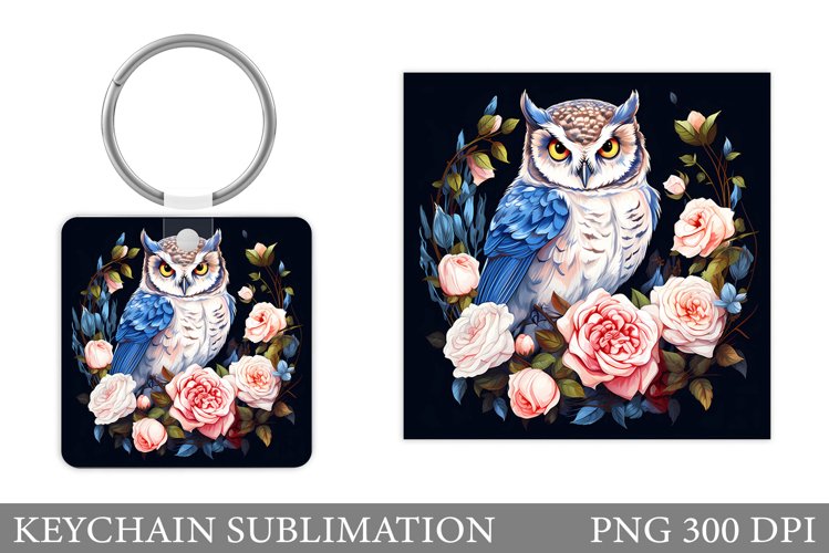 Owl Clipart Image 14