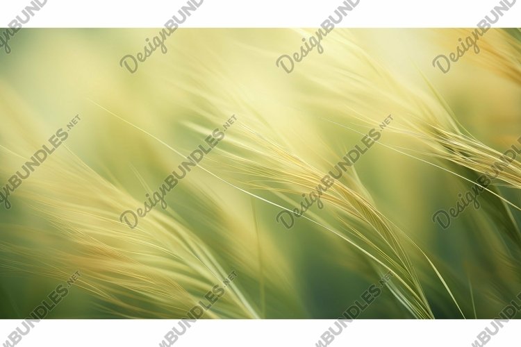 Shapes Clipart Image 11
