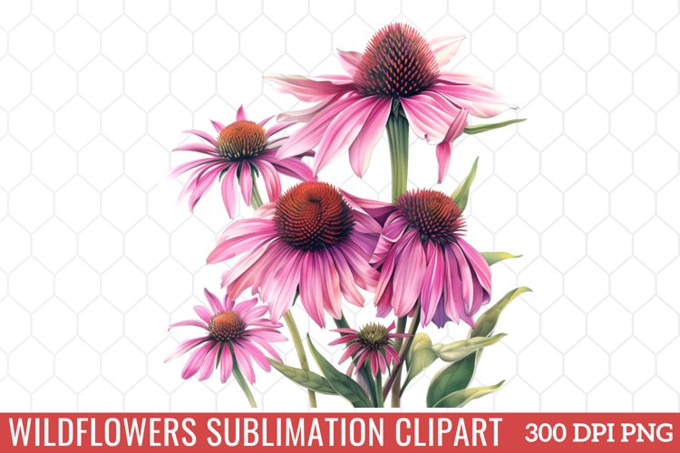 Spring Clipart Image 8