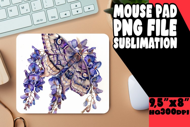 Butterfly Clipart Image 8