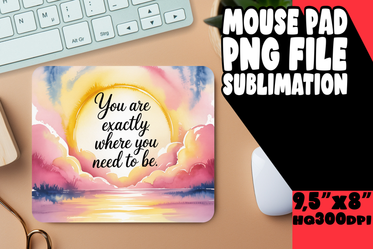 Raccoon Png Image 23