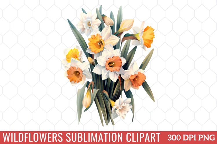 Spring Clipart