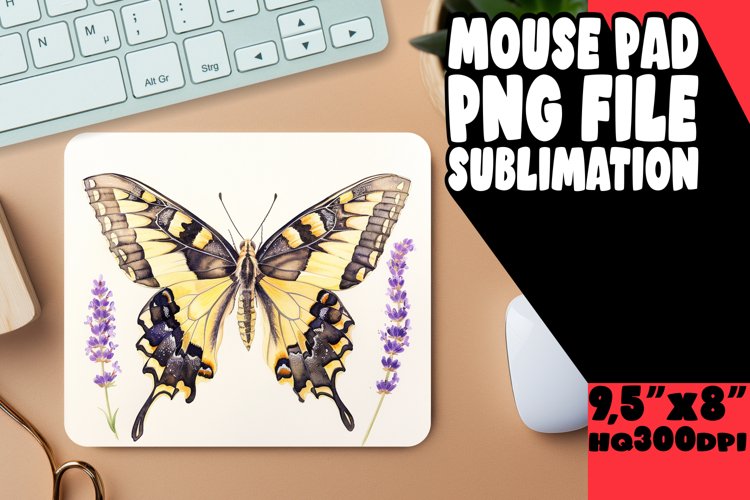 Butterfly Clipart Image 4