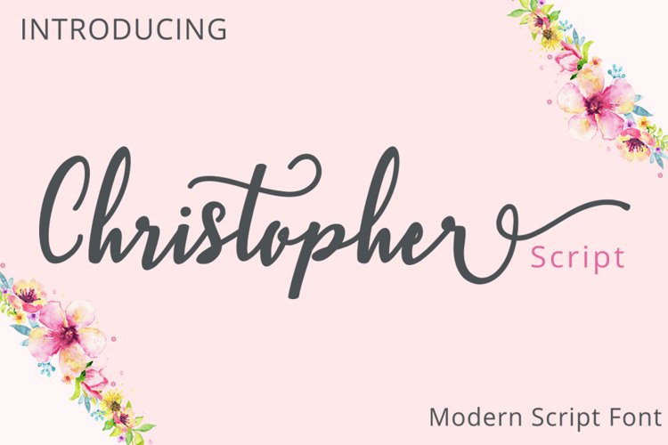 Christopher Script example image 1