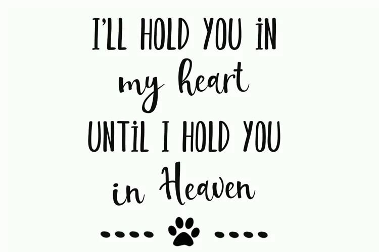Hold you in my heart