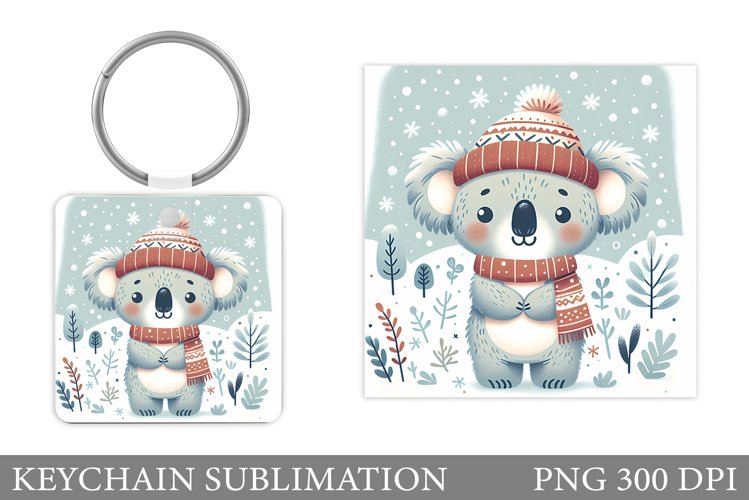Cute Koala Pictures Image 22