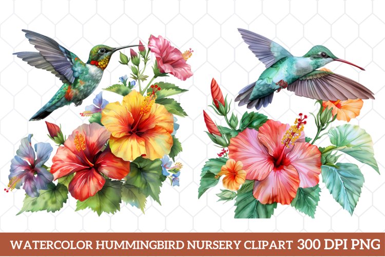 Hummingbird Clipart Image 12