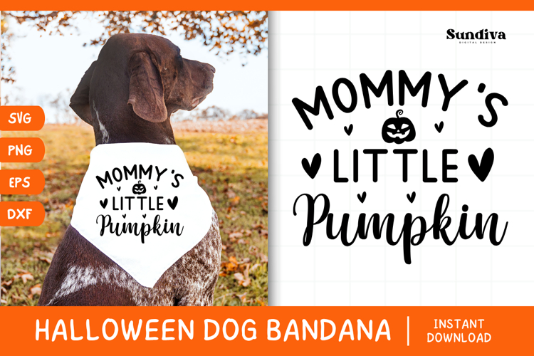 Funny Halloween Dog Bandana Quote SVG | Little Pumpkin
