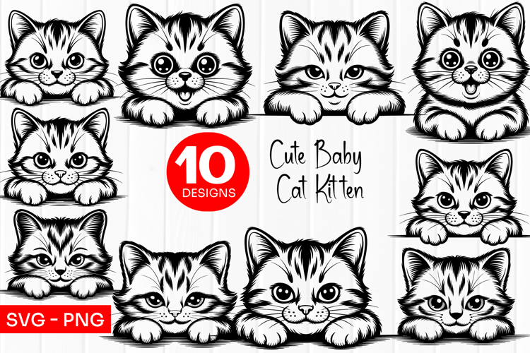 Cute Baby Kitten Clipart SVG PNG