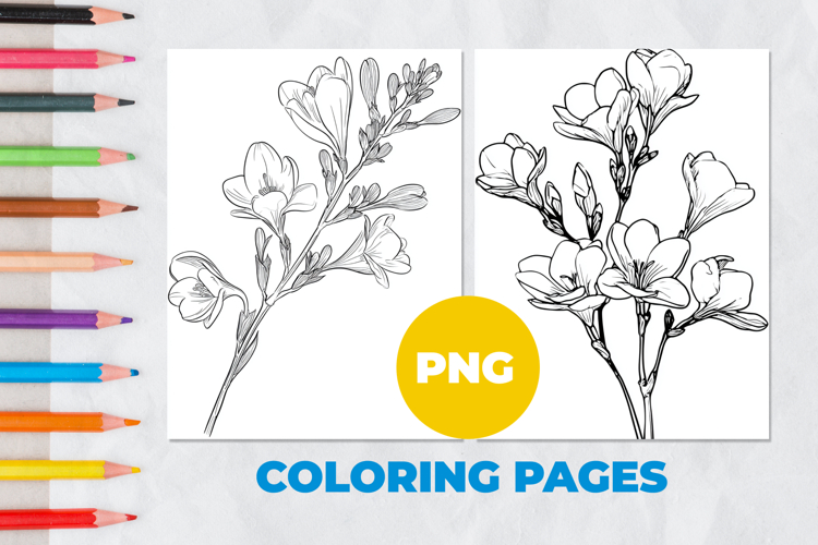 Freesia flower Coloring Pages | Coloring book