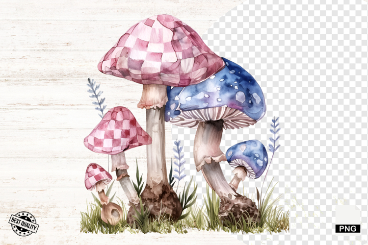 Mushroom Png Image 13