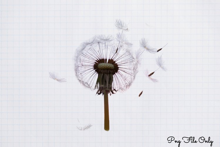 Boho Clipart Image 6