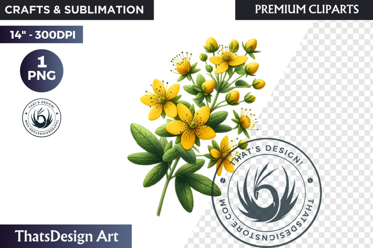 Medicinal Herbs clipart PNG, Apothecary Botanical Graphic