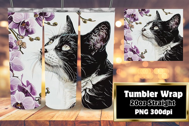 Black Cat Png Image 18