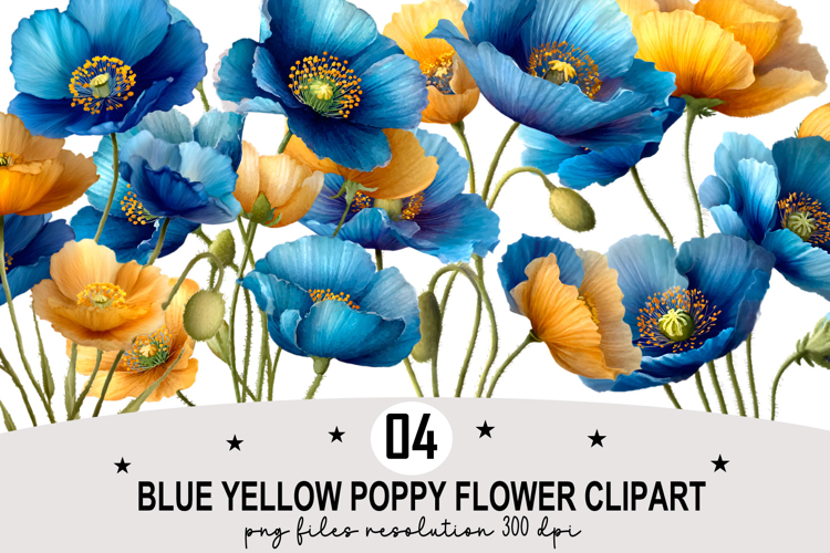 Poppy Png Image 11