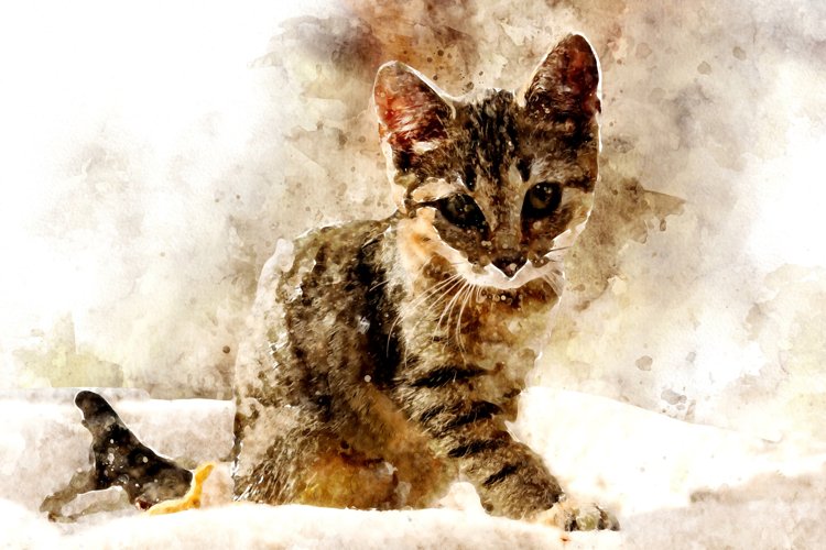 Printable CUTE CAT PORTRAITS 7 different formats Pack 12