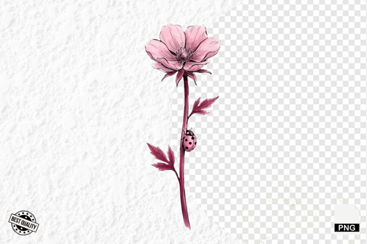 Lady Bug Clipart Image 15