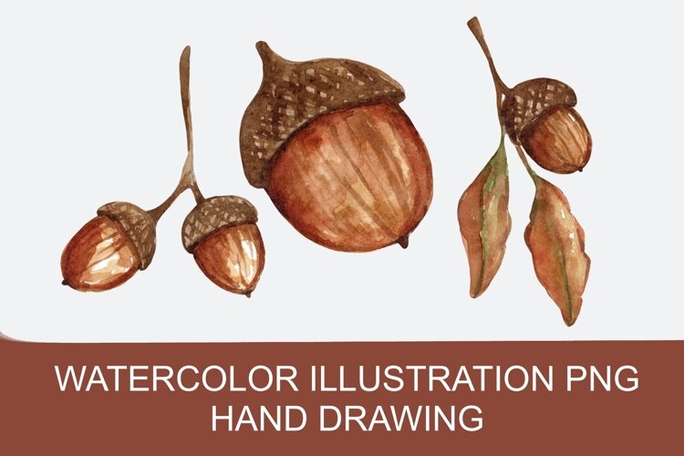 Watercolor autumn acorns PNG, hand-drawn example image 1
