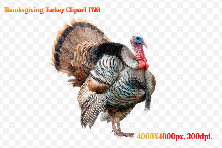 Watercolor Thanksgiving Turkey Clipart PNG