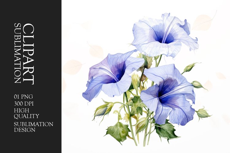 Watercolor glory flower sublimation clipart example image 1
