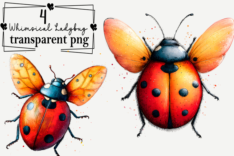 Whimsical Ladybug Clipart Watercolor PNG