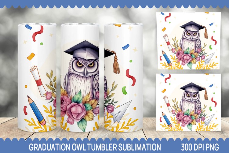 Owl Clipart Image 20