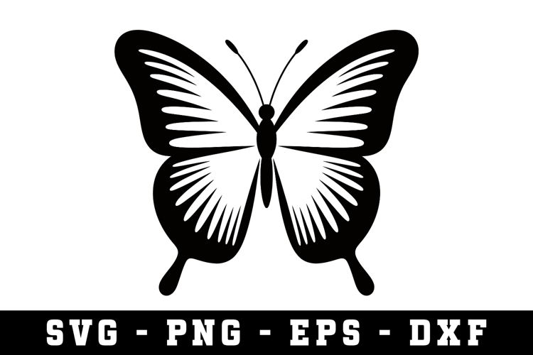 Butterfly SVG | SVG Cut files | Cricut