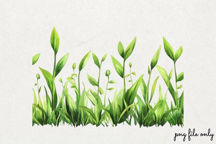 Watercolor Grass Borders Clipart PNG