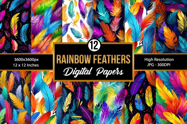 Feather Clipart Image 22