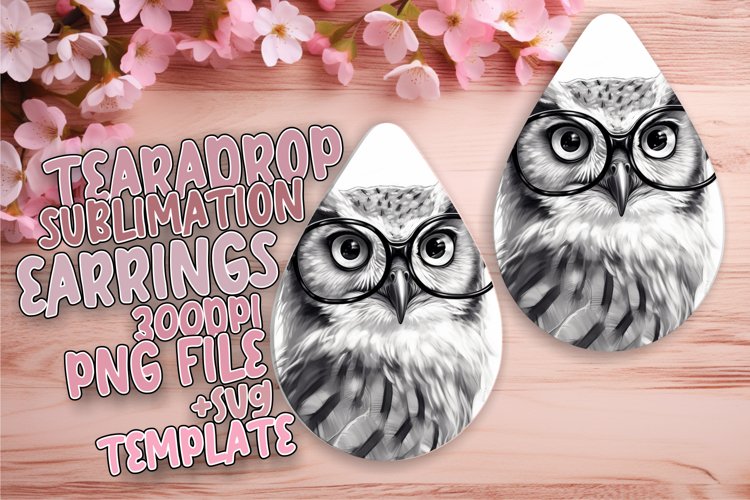Owl Clipart