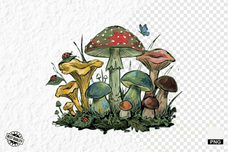 Summer Clipart Image 23